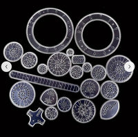 Magic Scratch Art Ruler Set