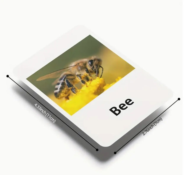 Animal Matching Card Game