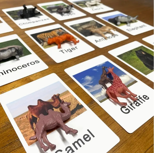 Animal Matching Card Game