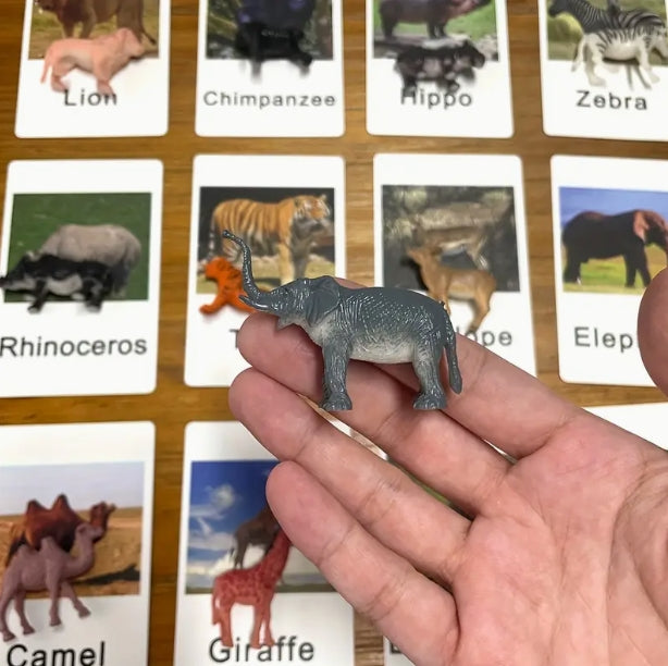 Animal Matching Card Game