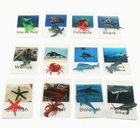 Animal Matching Card Game