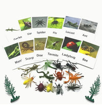Animal Matching Card Game