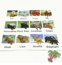 Animal Matching Card Game