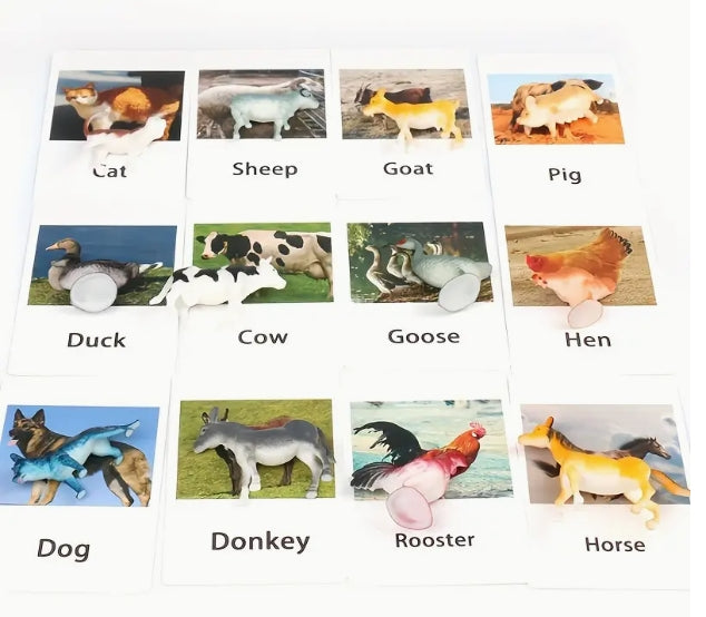 Animal Matching Card Game