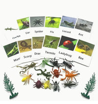 Animal Matching Card Game