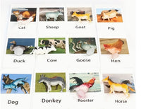 Animal Matching Card Game