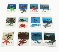 Animal Matching Card Game
