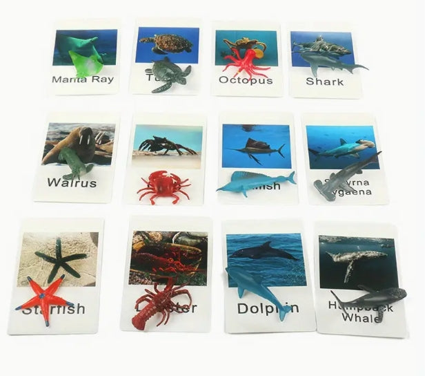 Animal Matching Card Game