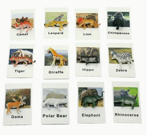 Animal Matching Card Game