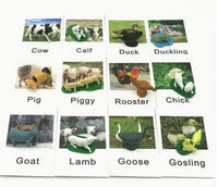 Animal Matching Card Game