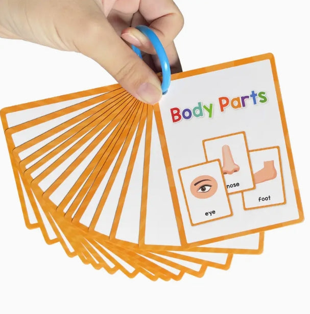 Body Parts English Flash Cards